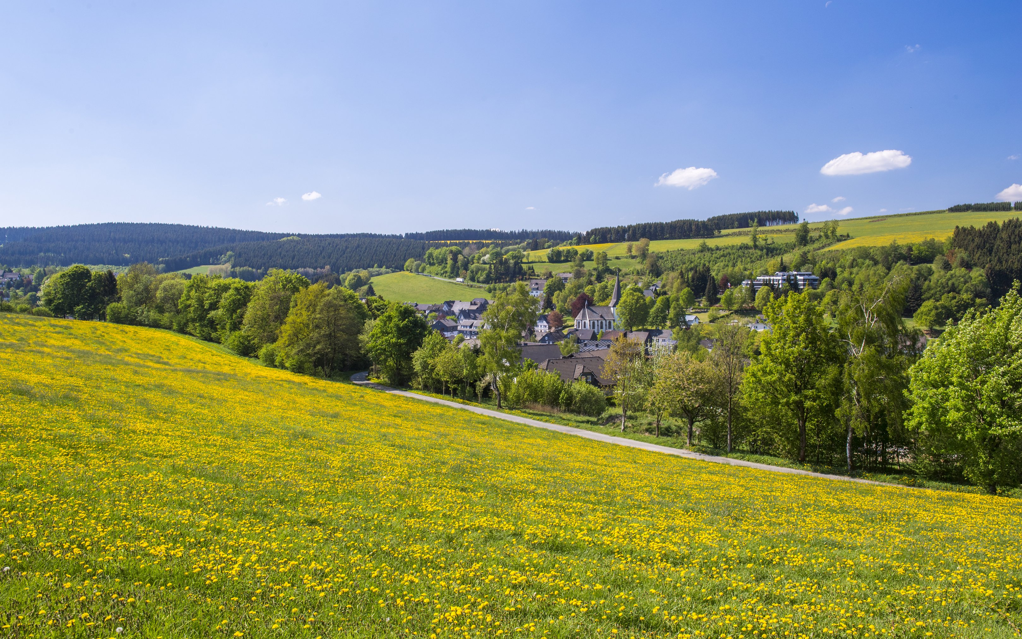 FerienweltWinterberg_2018_Groenebach_Ortsansicht_Blumenwiese_Sonne_Sommer Ein Teil der Ortschaft Grönebach inmitten von Wiesen und Wäldern.