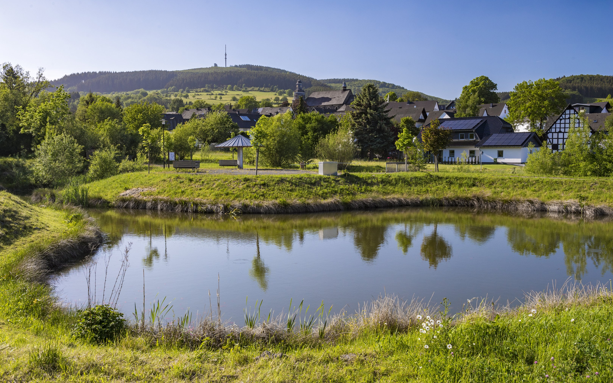 Der kleine Teich an der Froschewiese in der Ortschaft Hesborn. Im Hintergrund ein Teil der Ortschaft und der Bollerbergturm auf dem Bollerberg.