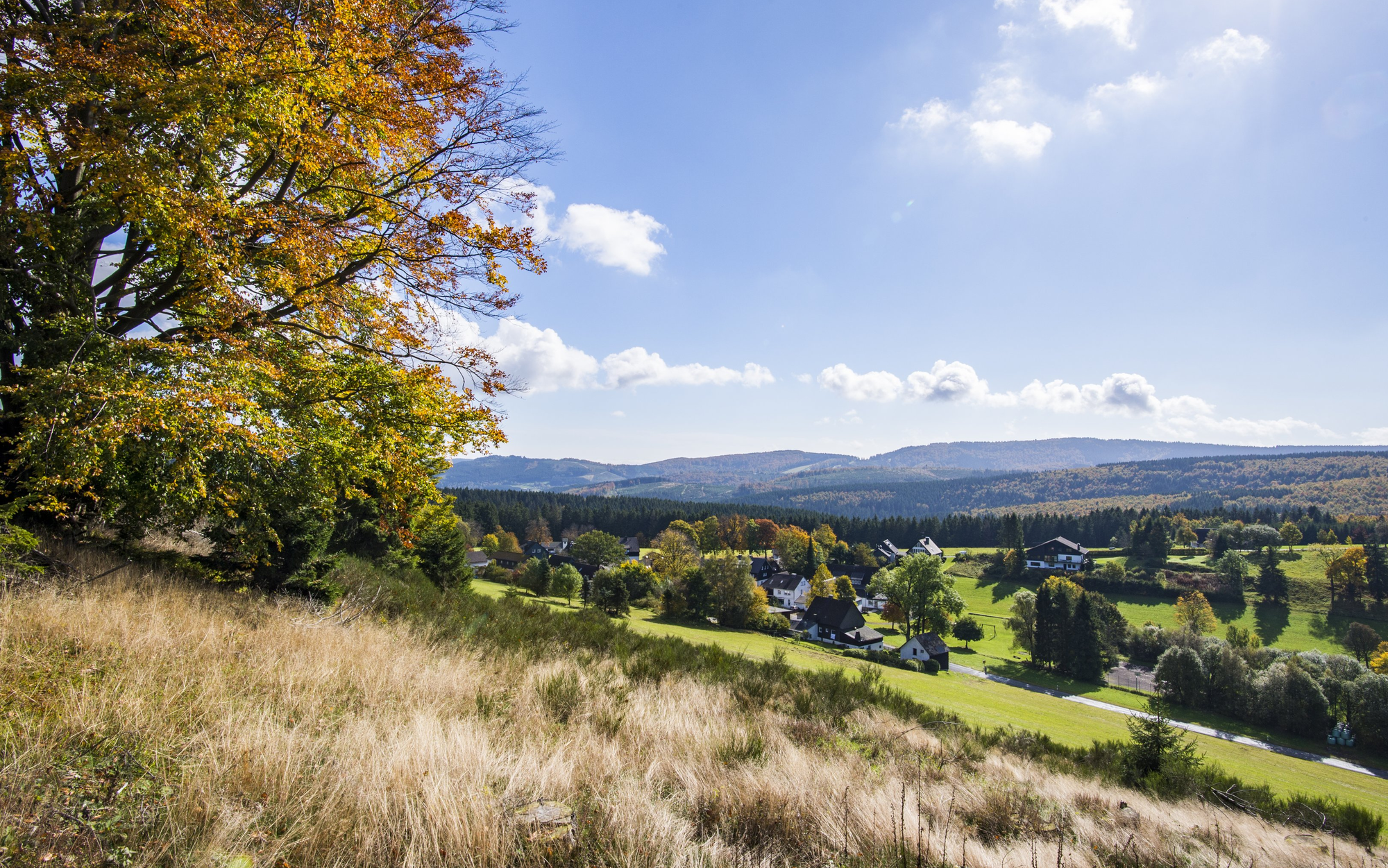 Die Ortschaft Mollseifen inmitten von Wiesen, Wäldern und Bergen.