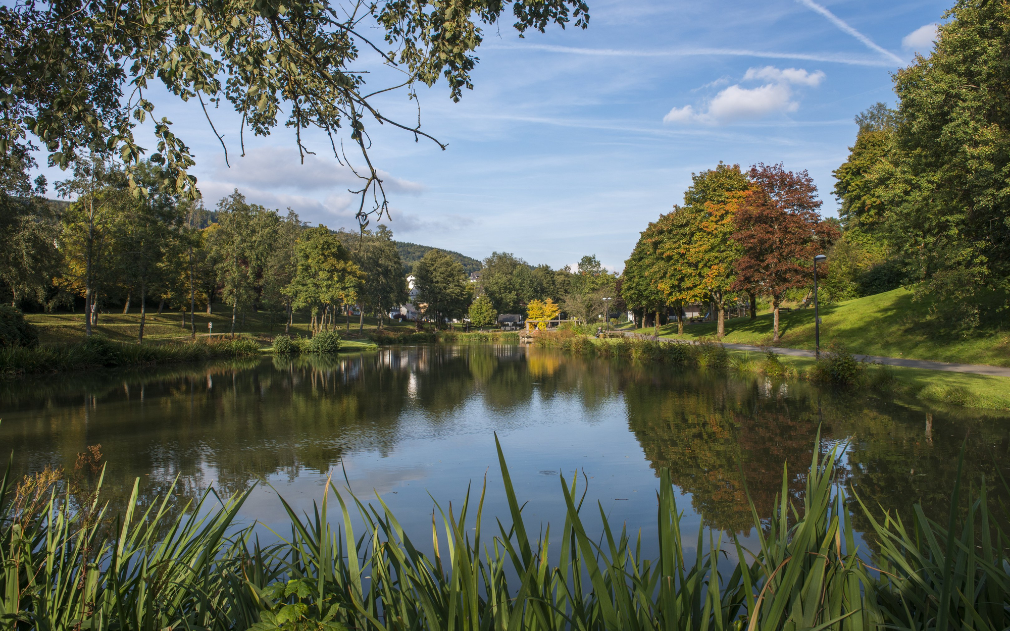 Der See in der Ortschaft Elkeringhausen umgeben von Wiesen und Bäumen.