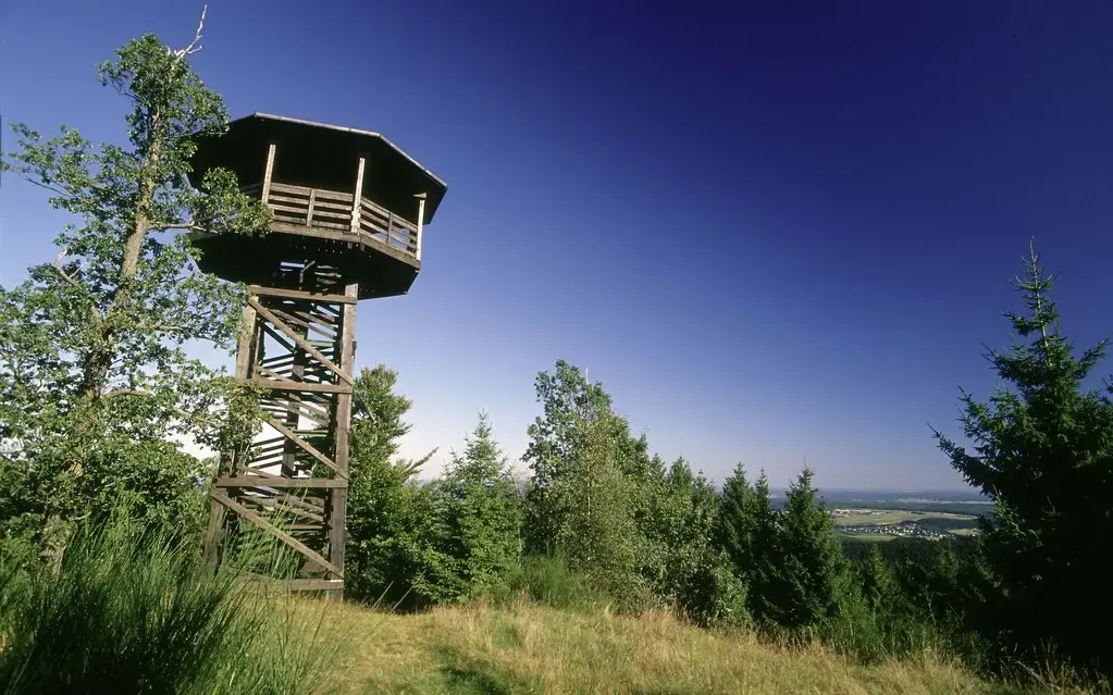 Der Aussichtspunkt Heidekopfturm im Wald.