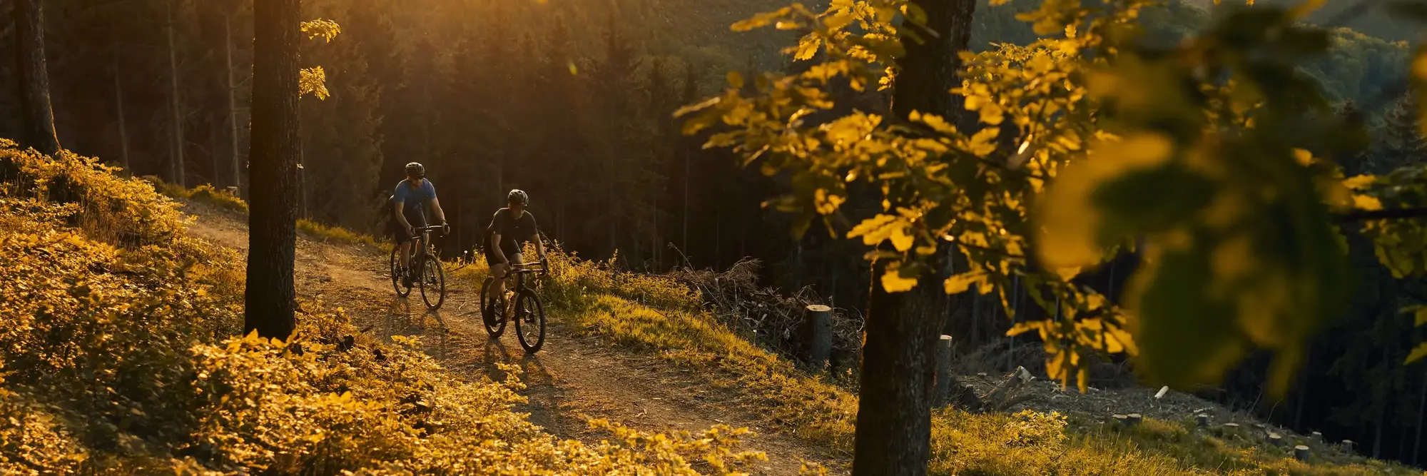 Zwei Radfahrer fahren vor toller Kulisse bei Sonnenuntergang einen Forstweg entlang.