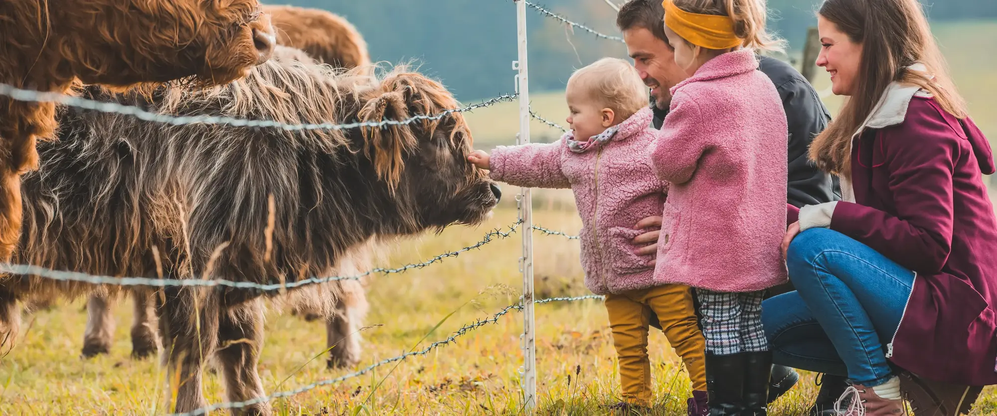 Eine Familie mit zwei Kindern hockt vor einem Weidezaun und streichelt eine Kuh an der Schnauze.