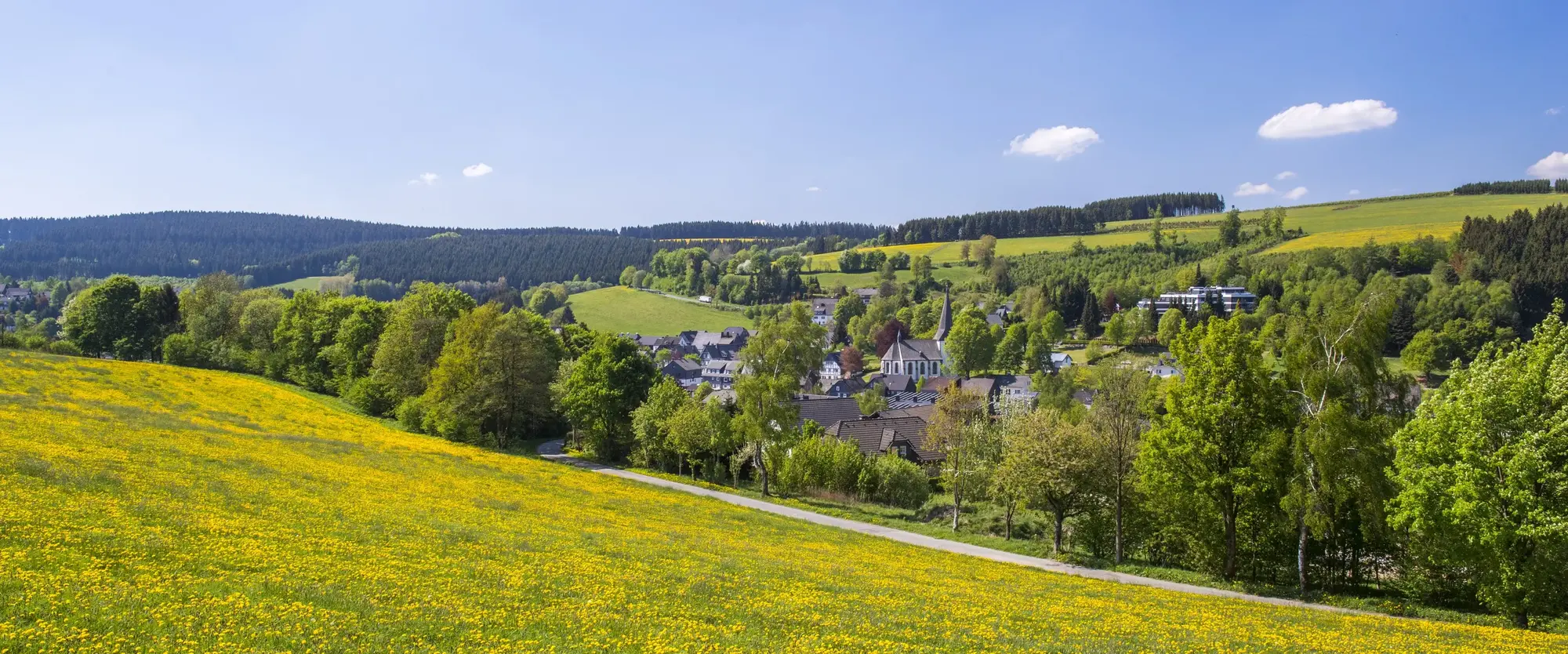 Ein Teil der Ortschaft Grönebach inmitten von Wiesen und Wäldern.
