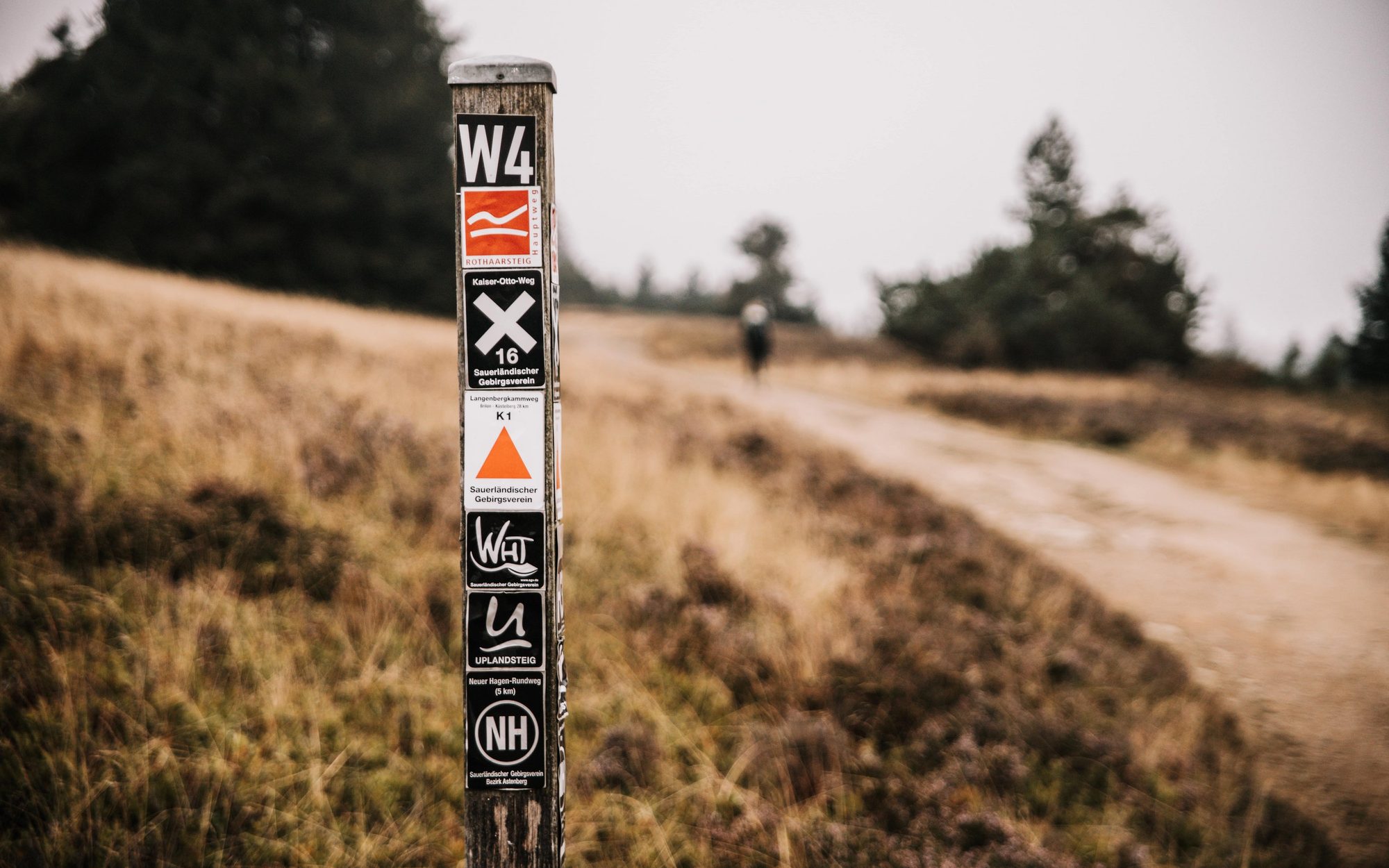 Ein Wegweiser auf der Hochheide in Niedersfeld.