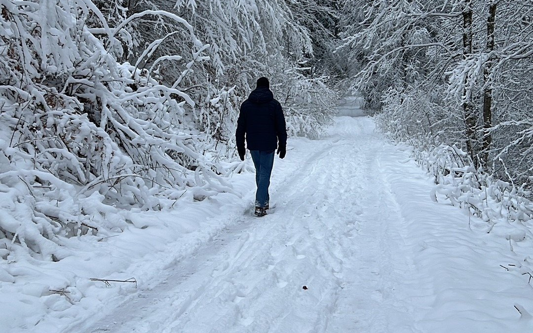 Eine Person wandert einen schneebedeckten Waldweg entlang.