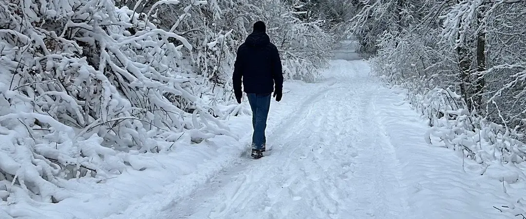 Eine Person wandert einen schneebedeckten Waldweg entlang.