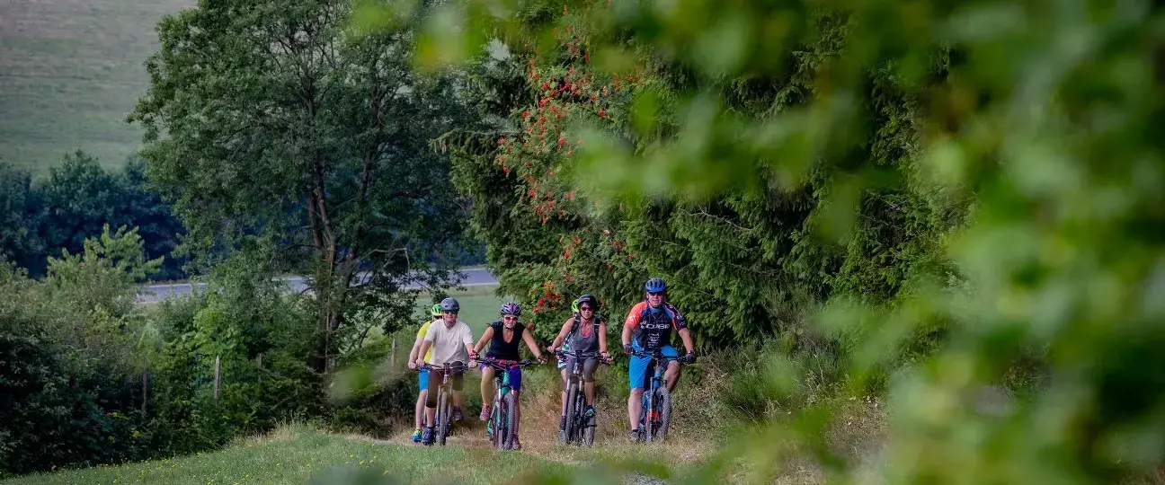 Eine Familie fährt mit ihren Mountainbikes am Waldrand entlang.