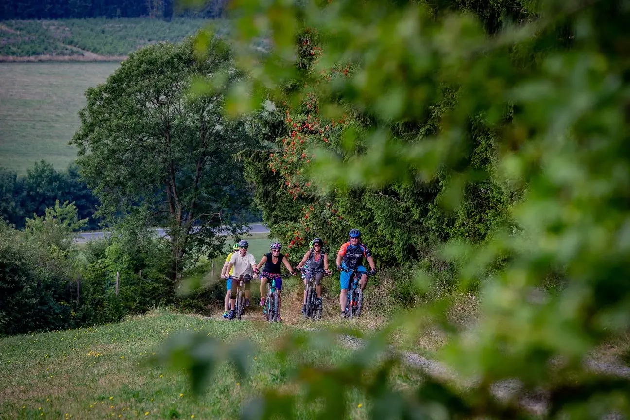 Eine Familie fährt mit ihren Mountainbikes am Waldrand entlang.