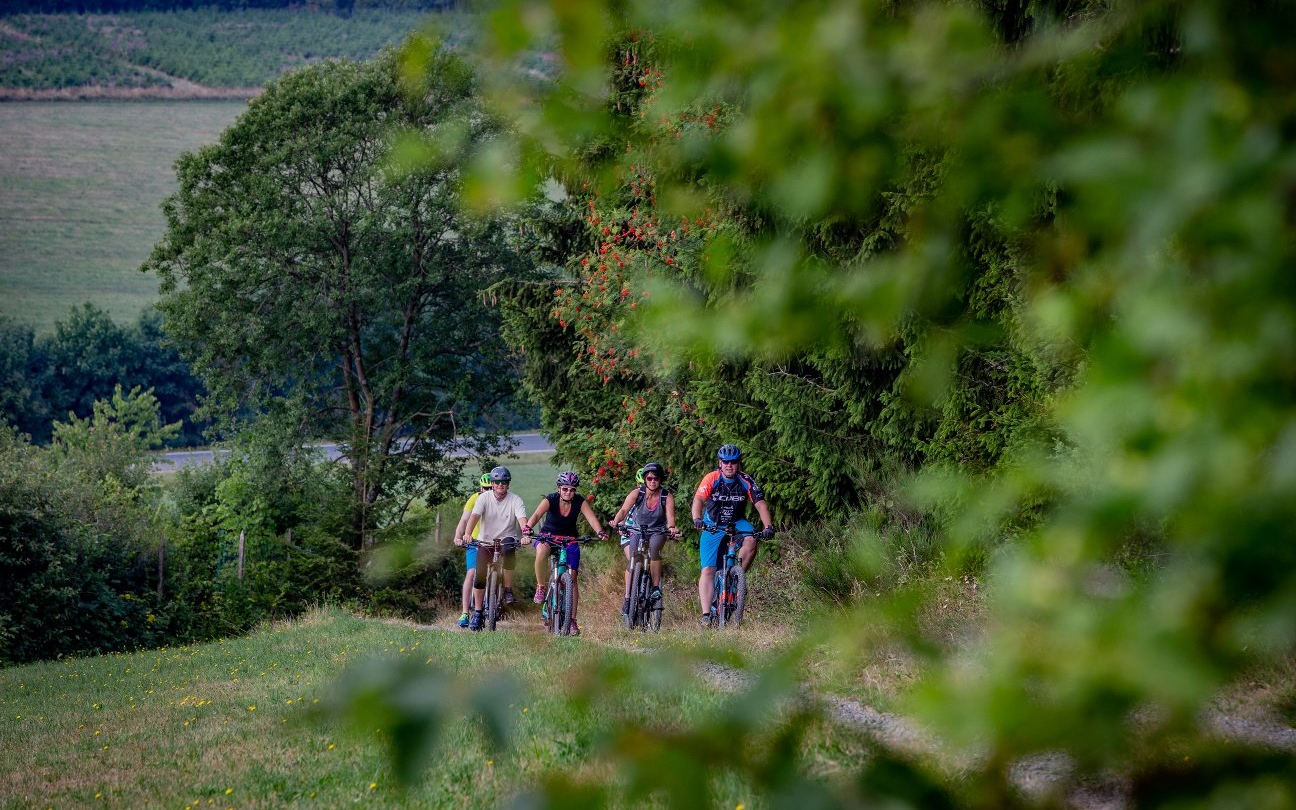 Eine Familie fährt mit ihren Mountainbikes am Waldrand entlang.