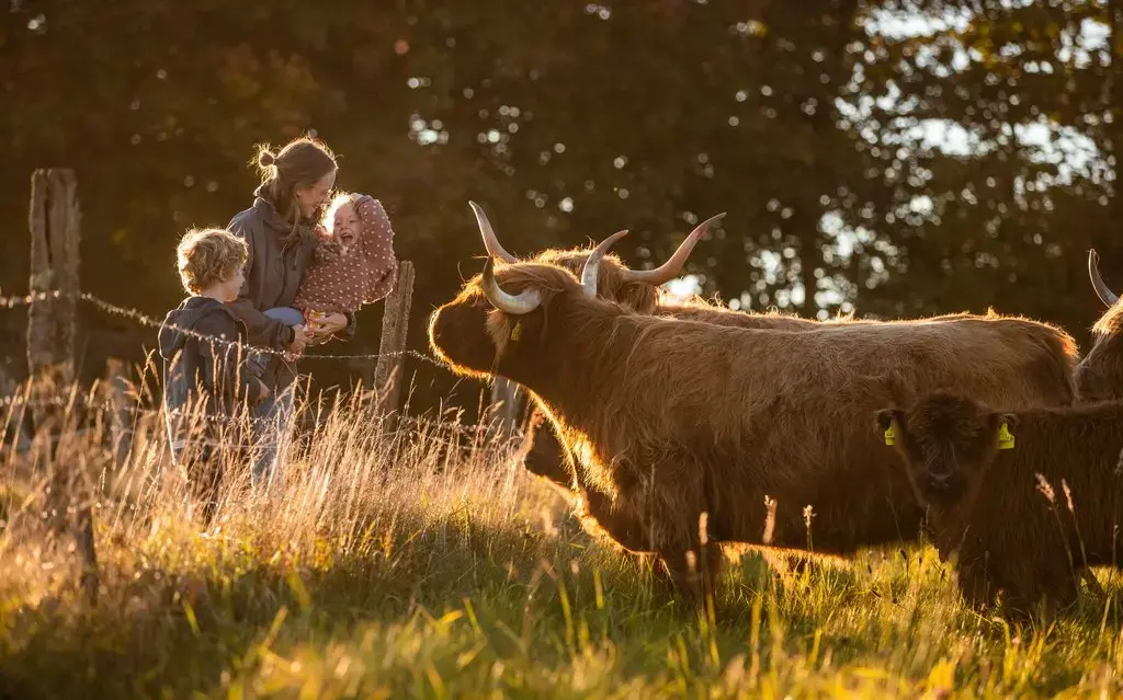 Eine Mutter steht mit ihren beiden Kindern am Rande einer Weide und sie betrachten die Kühe hinter dem Zaun.