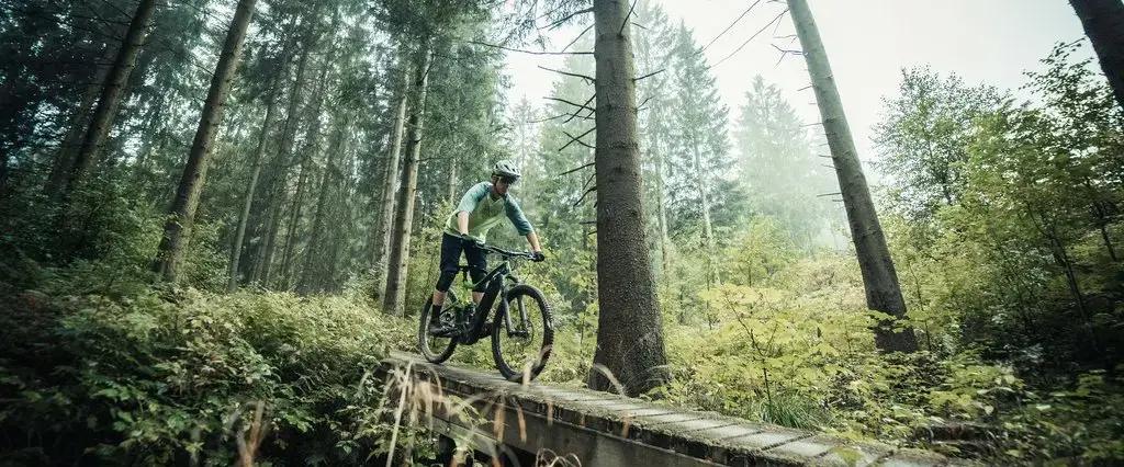 Ein Mann fährt mit seinem Mountainbike auf einem Trail des Trailparks über eine Holzbrücke.