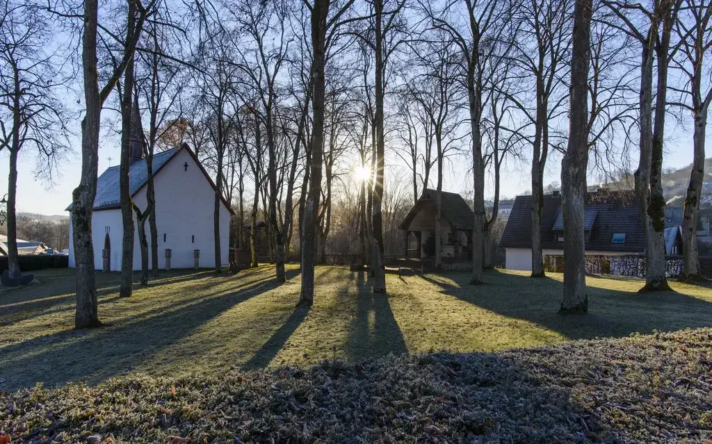 Die Sonne strahlt zwischen den Baumstämmen durch. Im Hintergrund ist eine Kirche zu sehen.