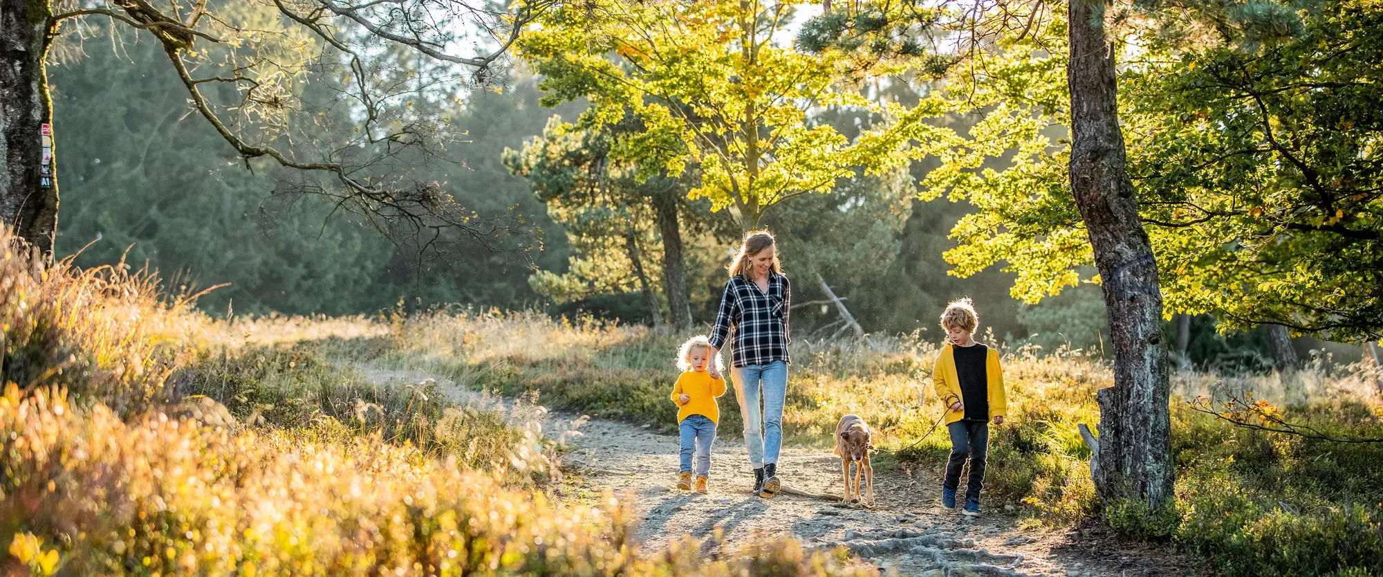 Eine Mutter geht mit zwei Kindern und einem Hund in herbstlicher Landschaft spazieren.