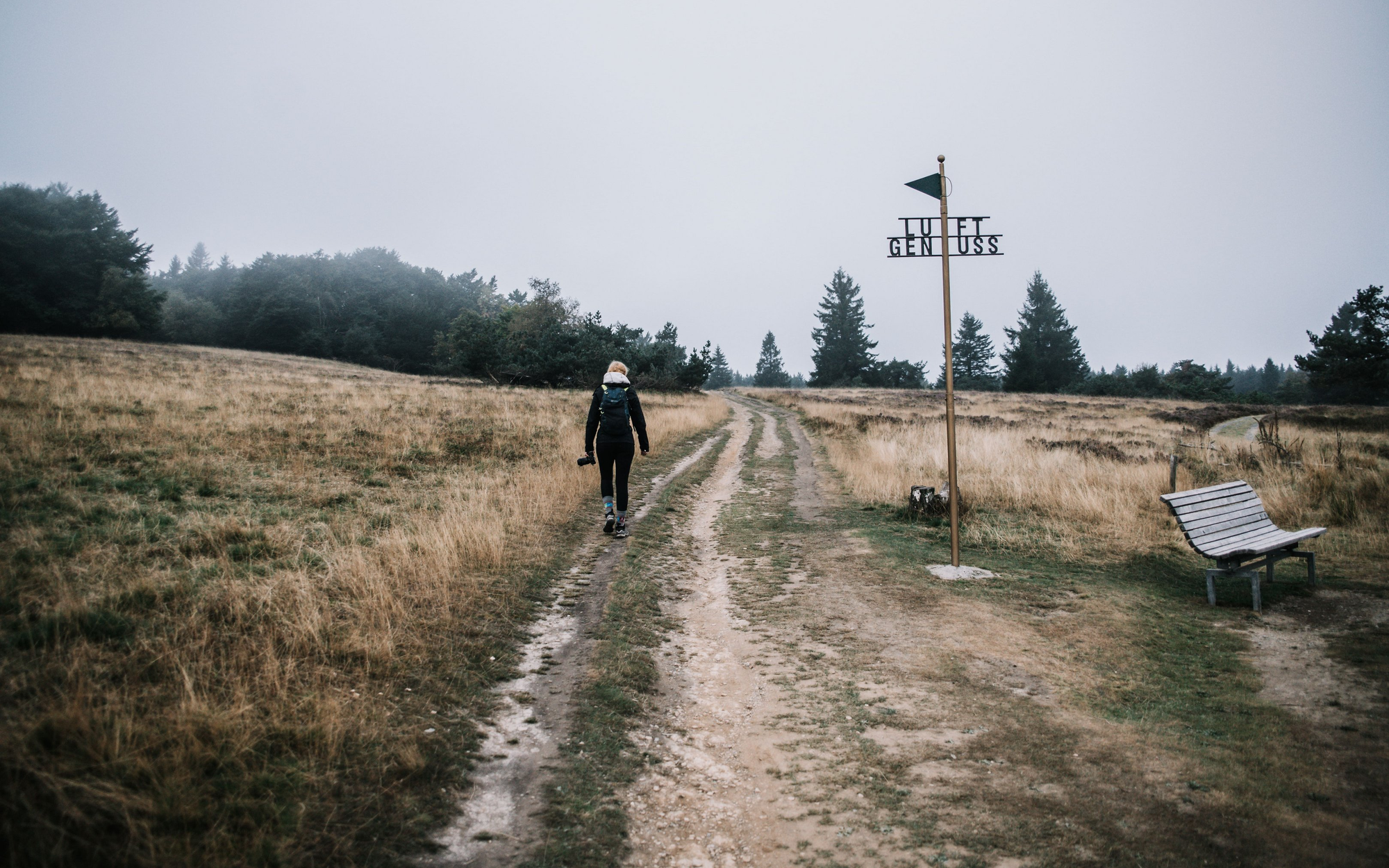 Eine Person wandert über einen Feldweg auf der Niedersfelder Hochheide.