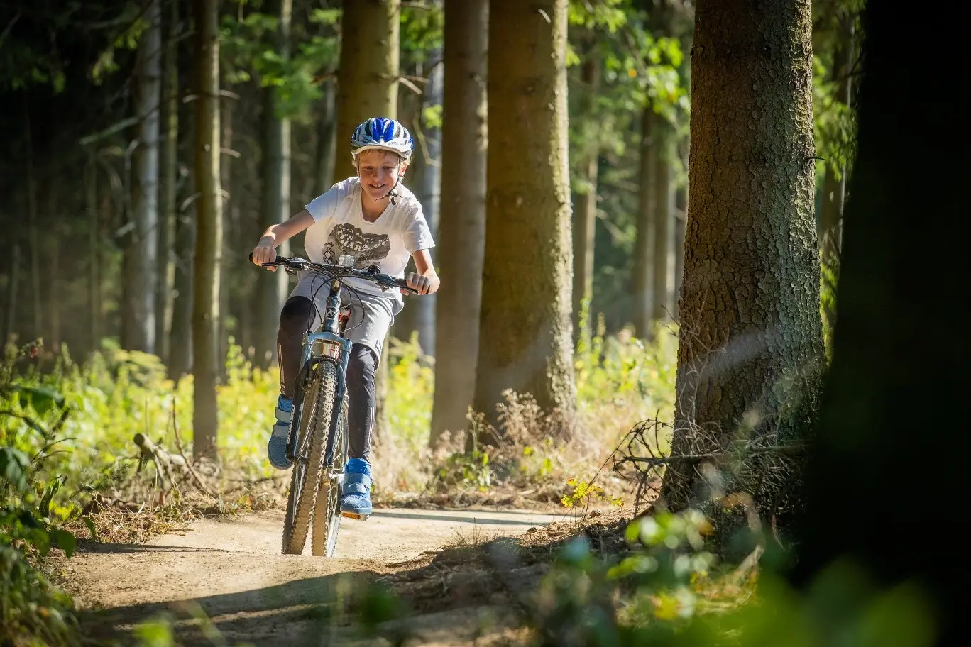 Ein Kind fährt auf seinem Fahrrad einen Trail des Trailparks durch den Wald entlang.