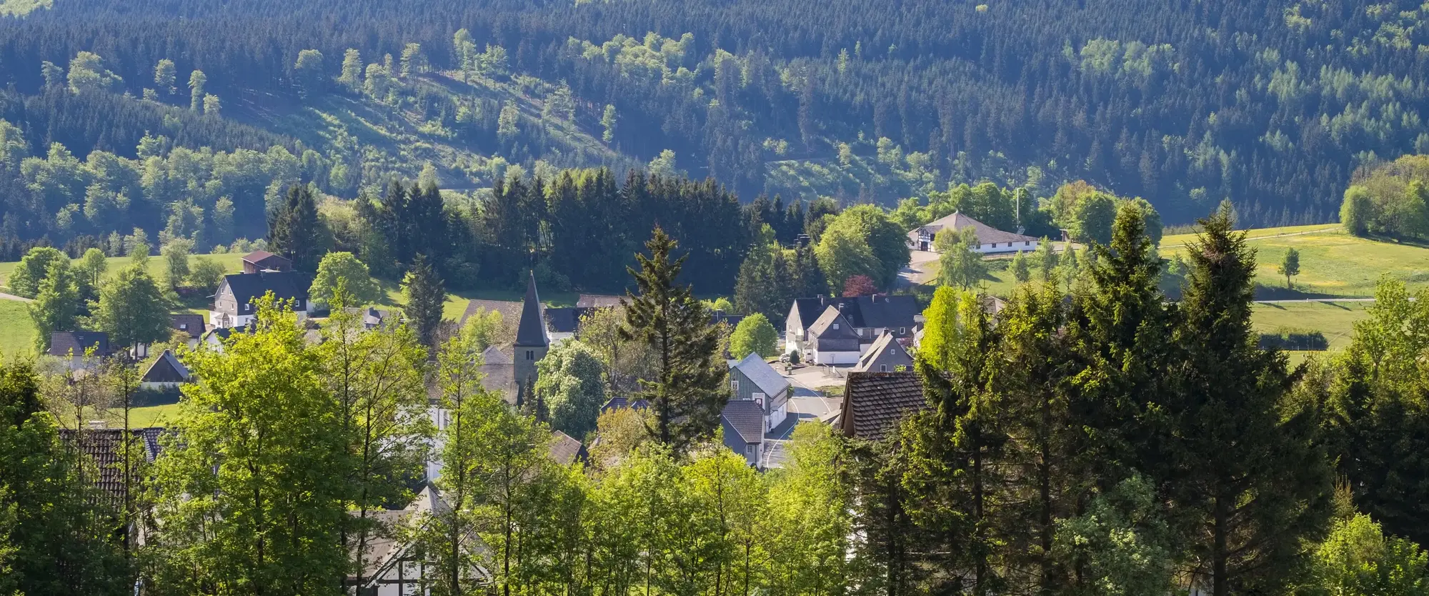 Ein Teil der Ortschaft Neuastenberg inmitten von Wäldern und Wiesen.