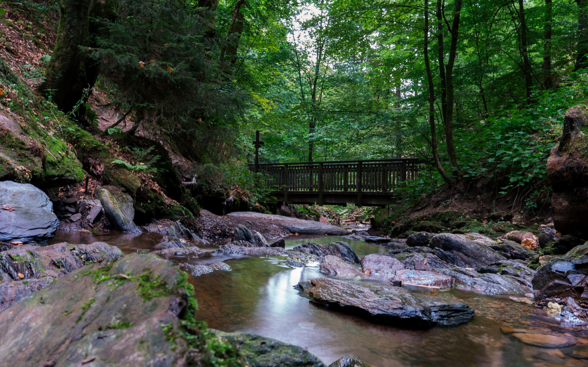 Eine Holzbrücke über einem Bach im Wald auf dem Brücken- und Schluchtenweg.