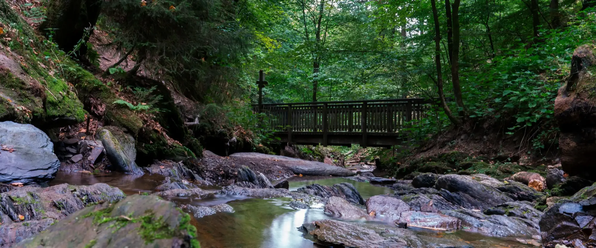 Eine Holzbrücke über einem Bach im Wald auf dem Brücken- und Schluchtenweg.