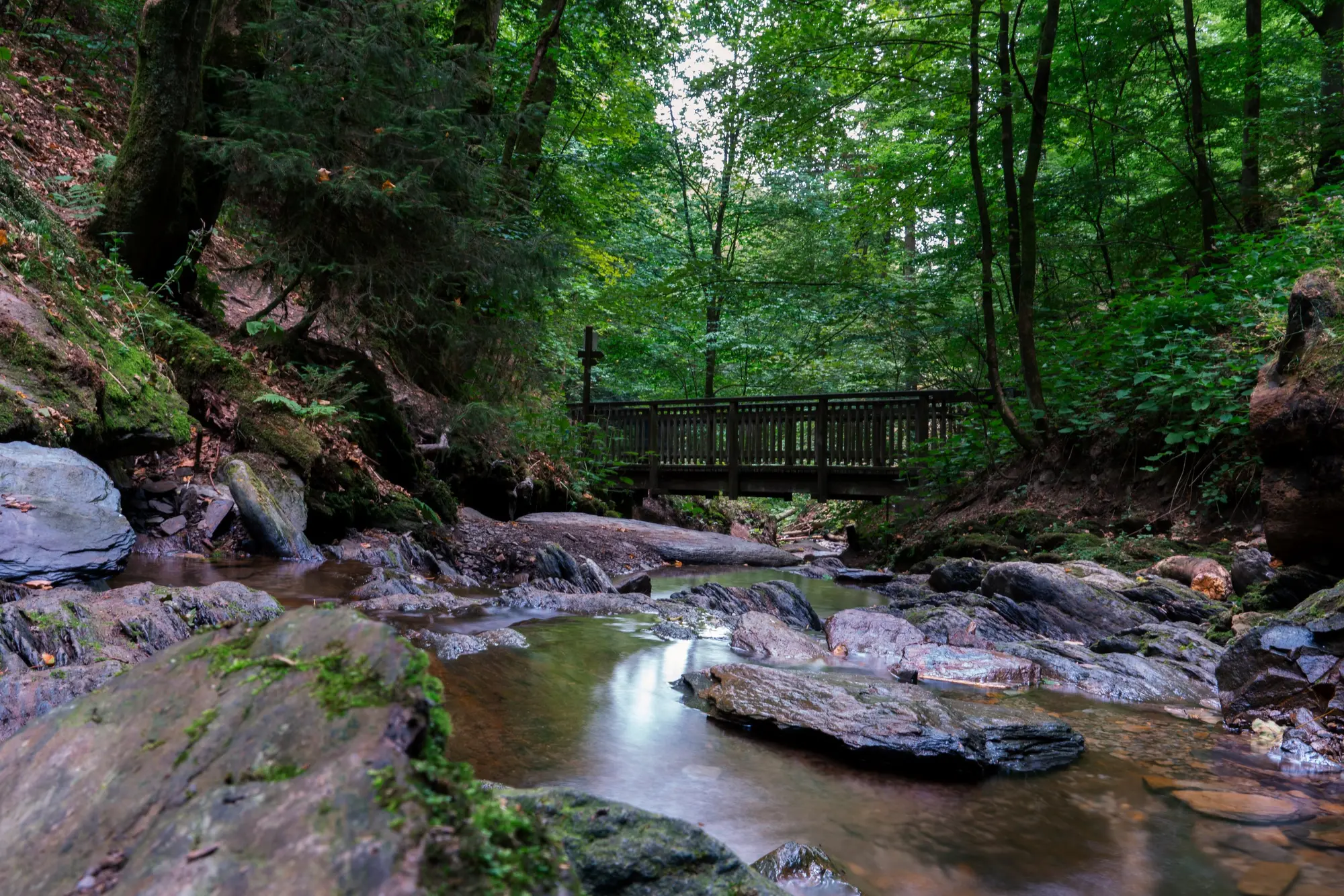 Eine Holzbrücke über einem Bach im Wald auf dem Brücken- und Schluchtenweg.